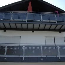 2009-05-26_17.03.44_01.jpg